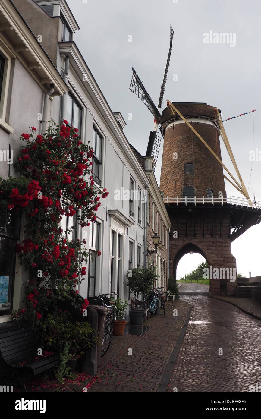 Una fila di bianco case olandese e una guida attraverso un mulino a vento. Foto Stock