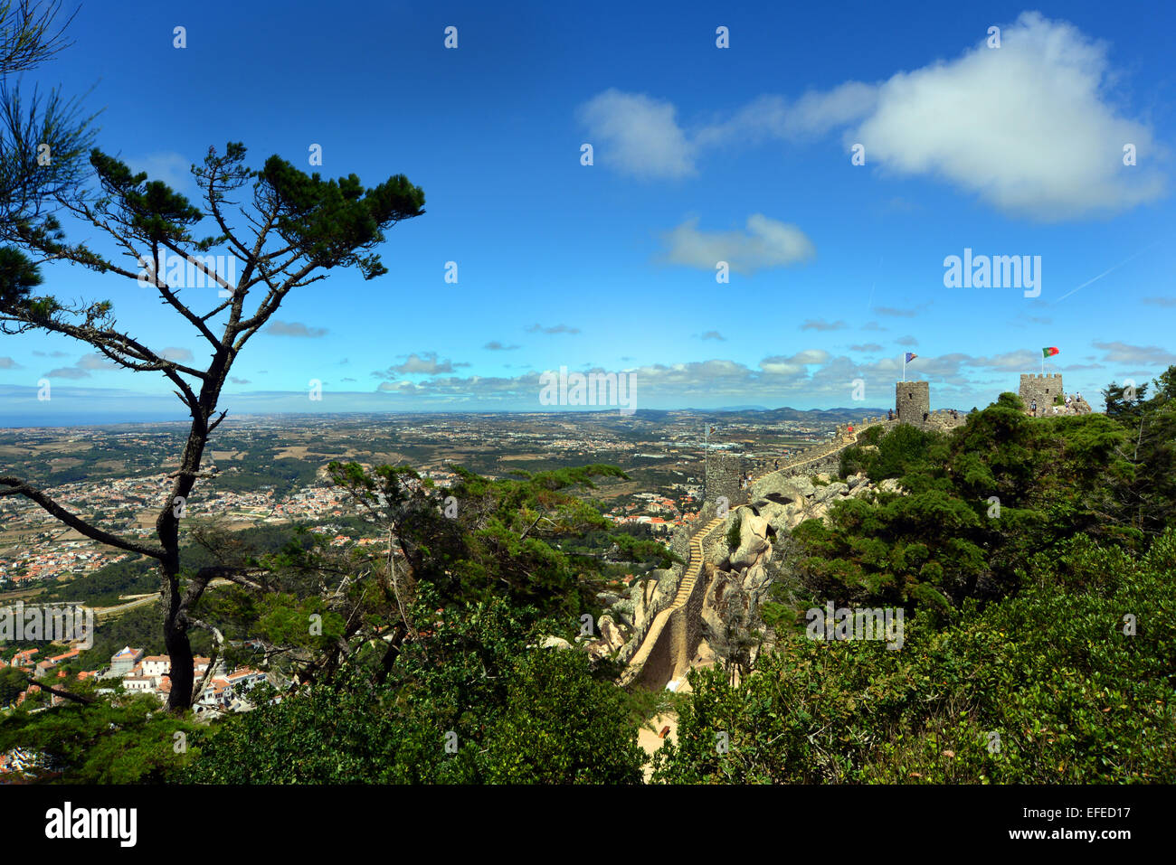 Sintra castello moresco, parco nazionale e sito del Patrimonio Mondiale, il Portogallo centrale, nei pressi di Lisbona. Foto Stock
