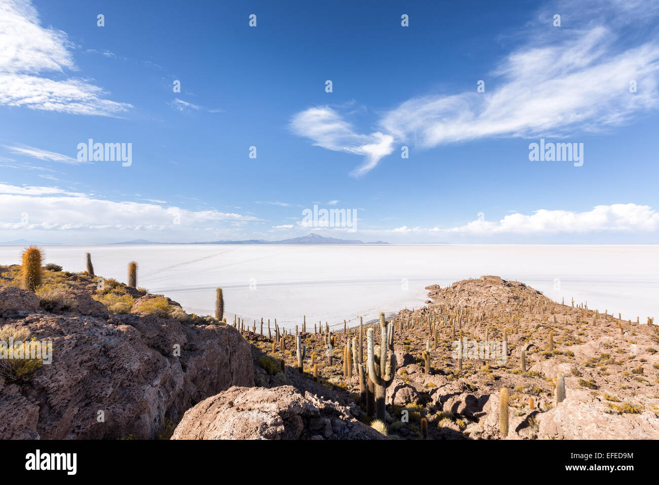 A Isla Incahuasi, Salar de Uyuni distesa di sale, Altiplano, Bolivia, Sud America Foto Stock