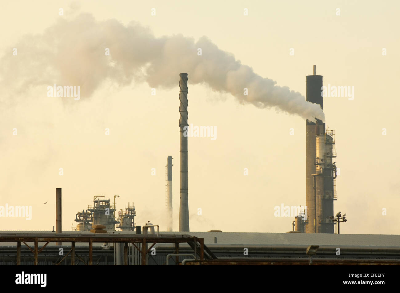 Grangemouth raffineria di petrolio, Scotland, Regno Unito. Foto Stock