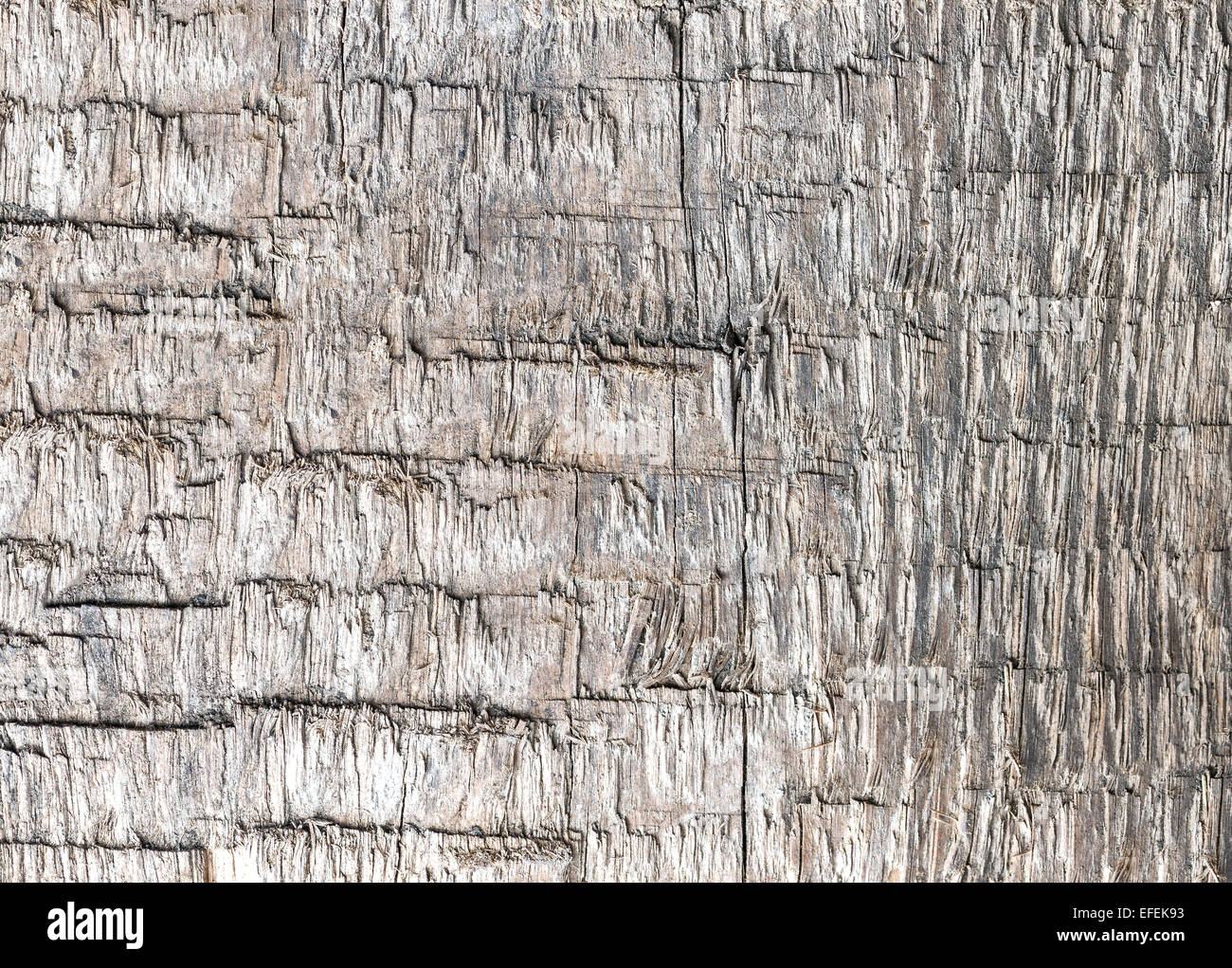 Vecchio weathered ruvida sfondo di legno o una texture. Foto Stock