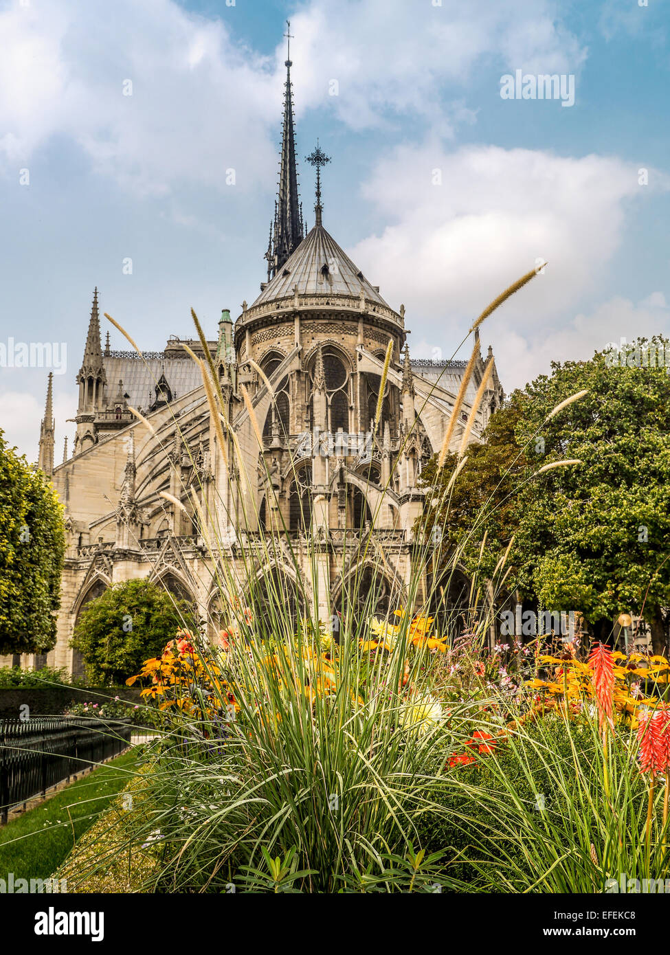 La cattedrale di Notre Dame a Parigi, Francia Foto Stock