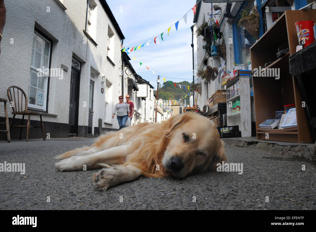 Settembre 2014 godendo la vita tranquilla nel piccolo villaggio di pescatori di Polperro, Cornwall. Pic Mike Walker, Mike Walker foto Foto Stock