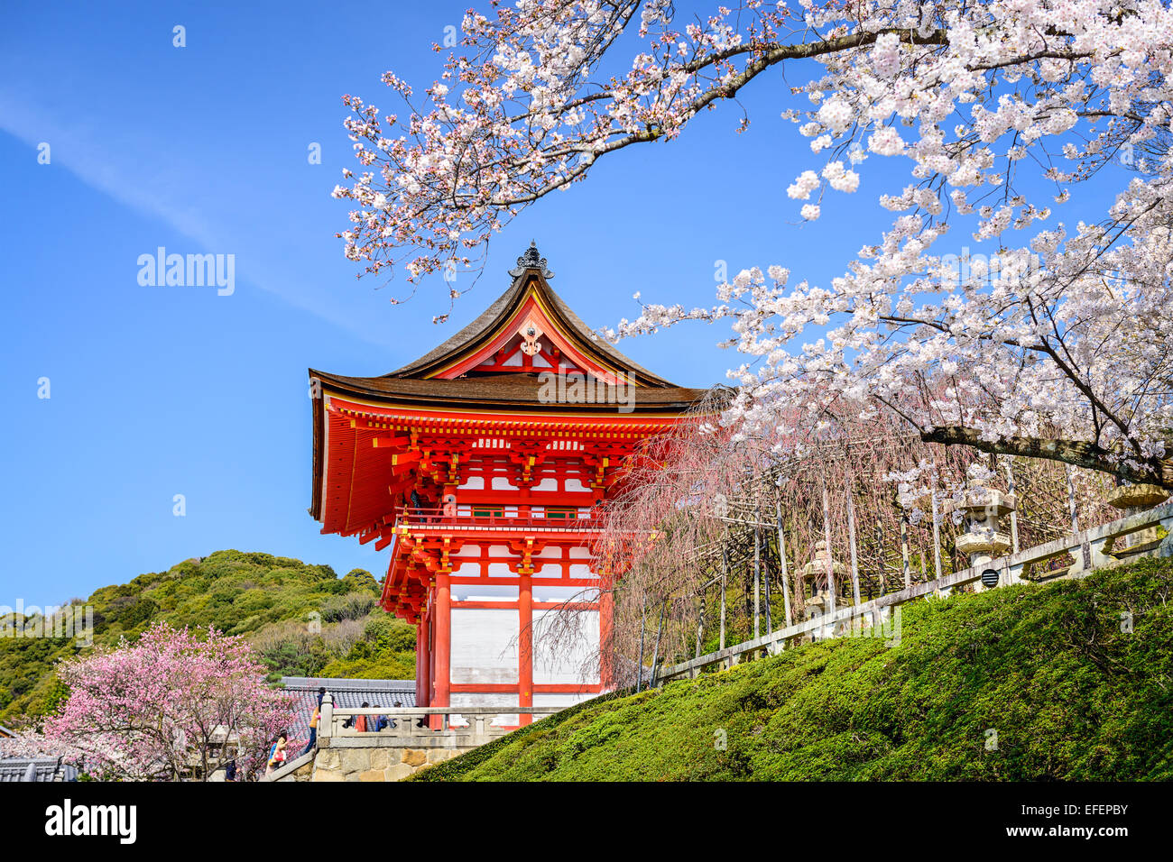 Kyoto, Giappone a Kiyomizu-dera tempio in primavera. Foto Stock