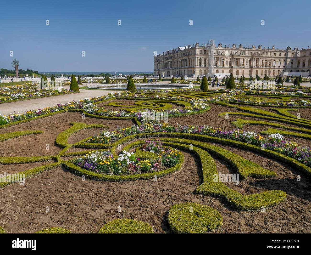Fancy aiuola di fiori nel giardino di Versailles con il Palazzo di Versailles in background, Versailles, Francia Foto Stock