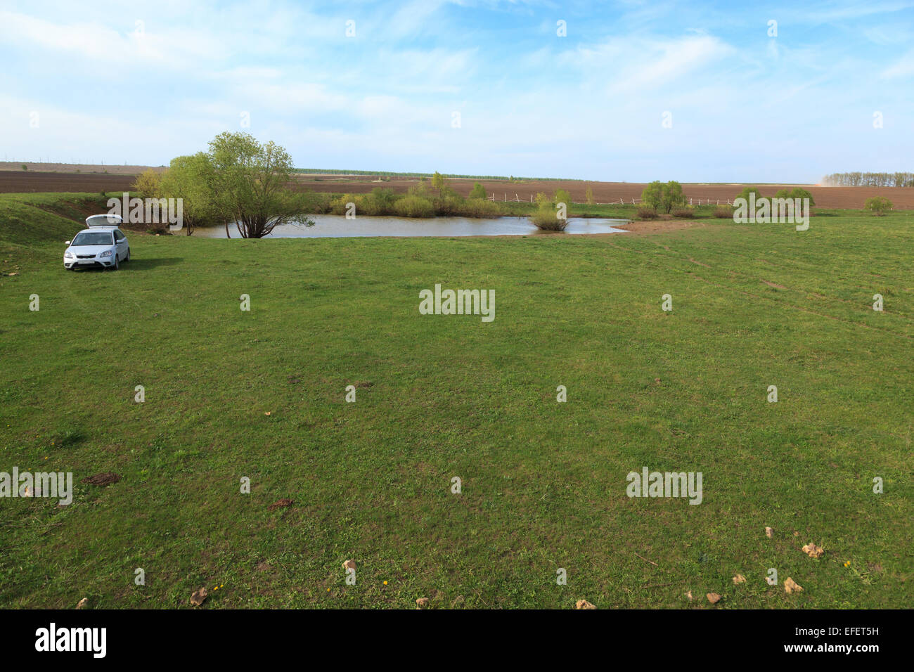 Un piccolo laghetto per irrigazione estiva del bestiame di dimensioni 40x40 metri nel campo. La Russia. Russia, Rjazan Regione Foto Stock