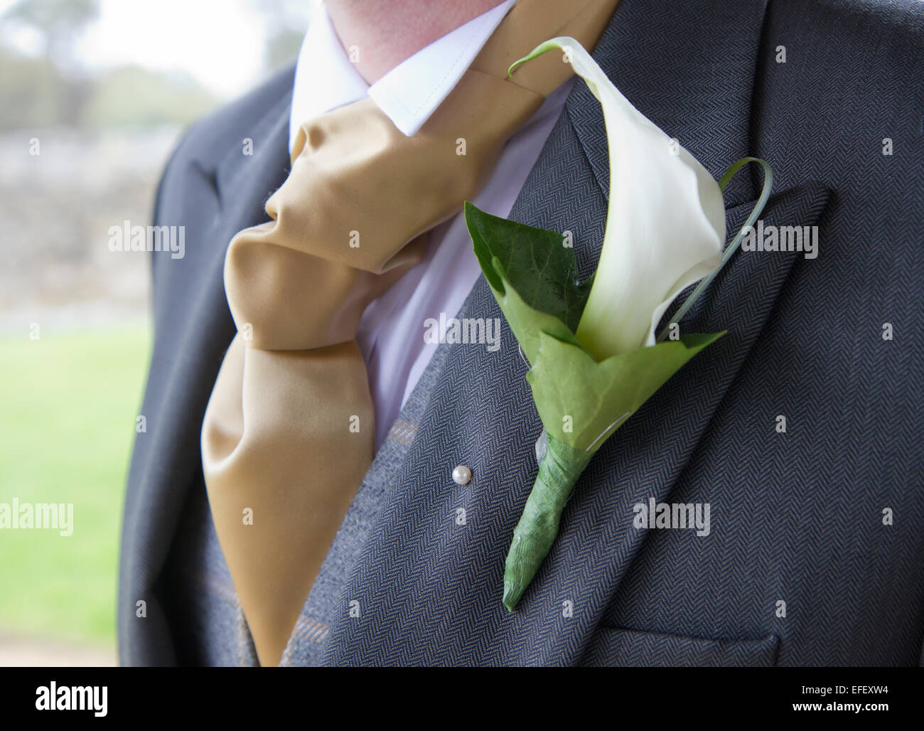Lo sposo con cravat e corpetto su bavero Foto Stock
