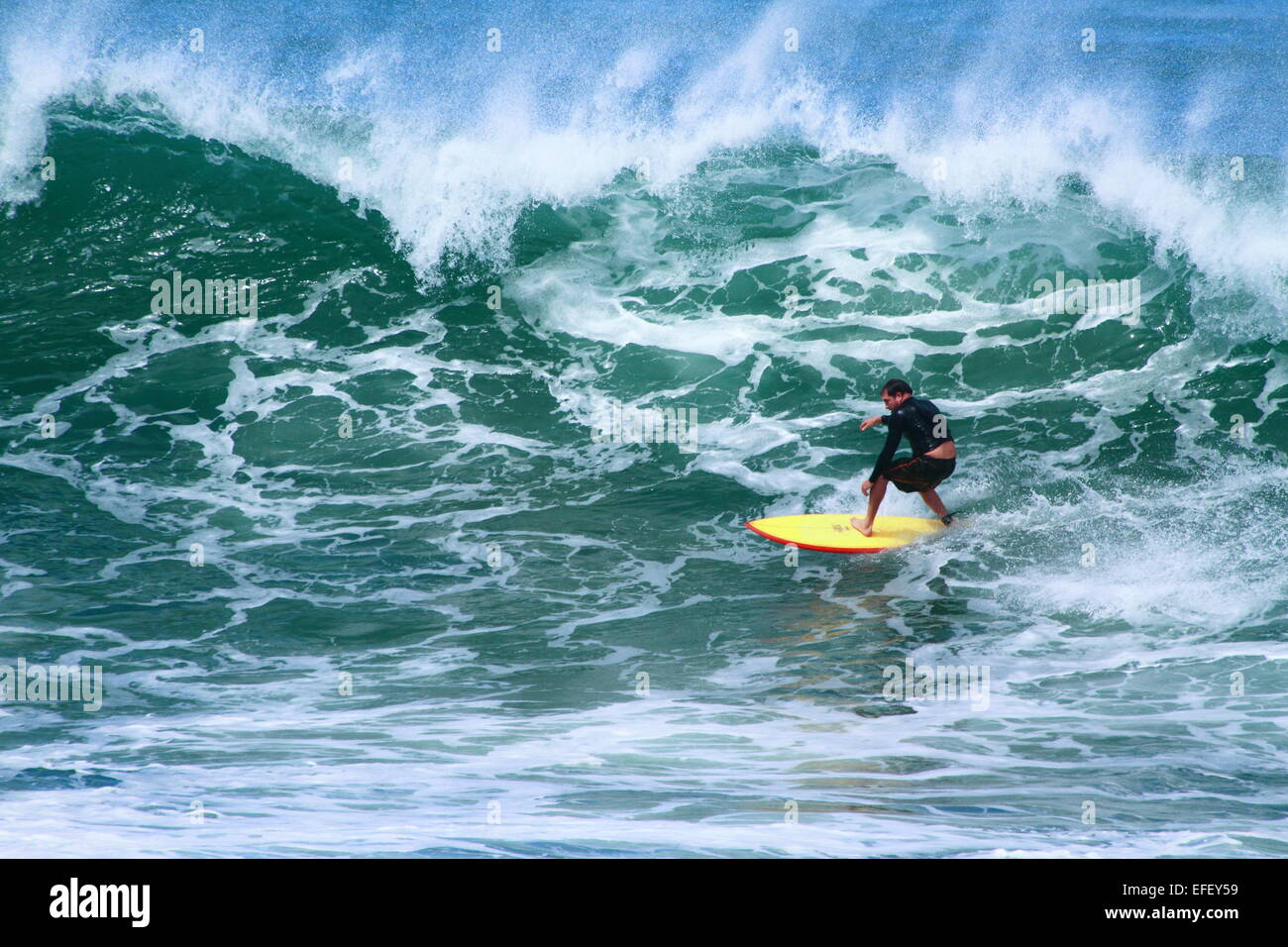 Un maschio surfer cavalca un grande onda a Sandon Point, Bulli, NSW, Australia. Foto Stock