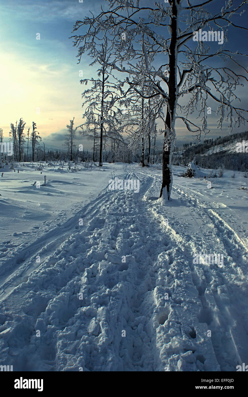 Percorso pedonale in inverno Beskid Slaski mountains Foto Stock