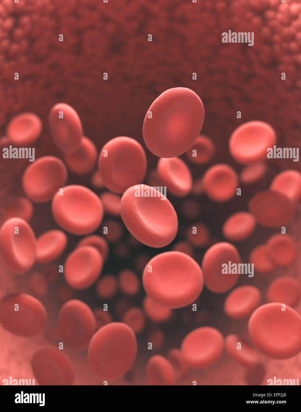 Le cellule rosse del sangue in movimento in vasi sanguigni con profondità di campo. Foto Stock