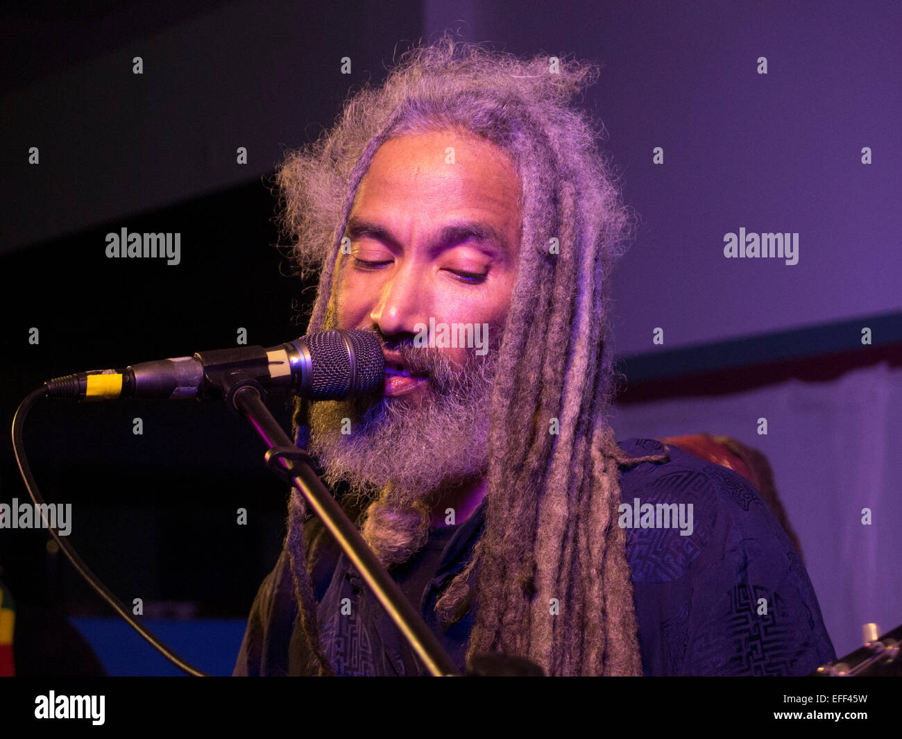 African American reggae musicista canta nella sua famiglia band ReBelle, Northampton, MA, Capodanno 2015 Foto Stock