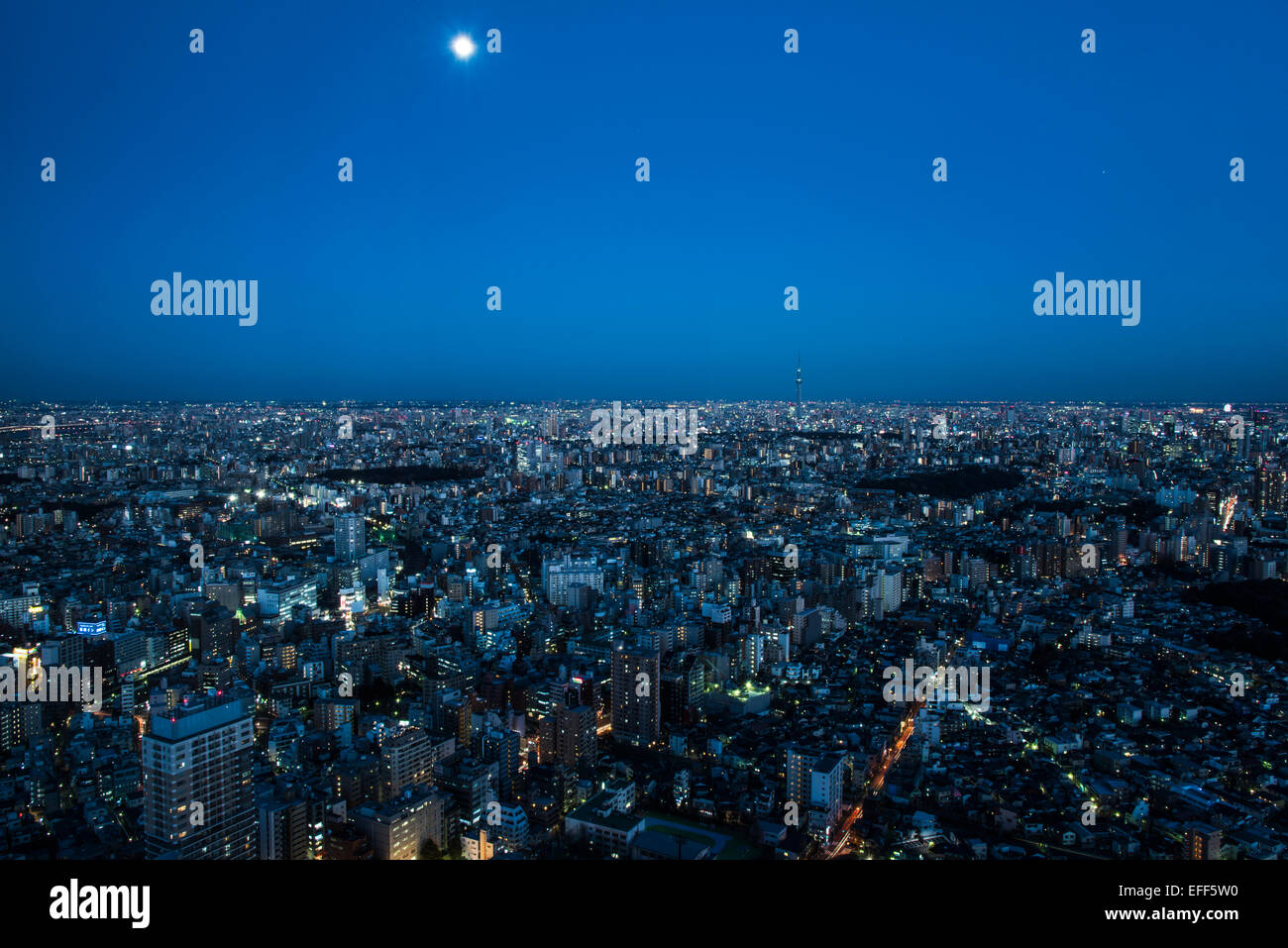 Tokyo Skytree e vista generale di Tokyo,da Sunshine City,Ikebukuro,Toshima-Ku,Tokyo Giappone Foto Stock