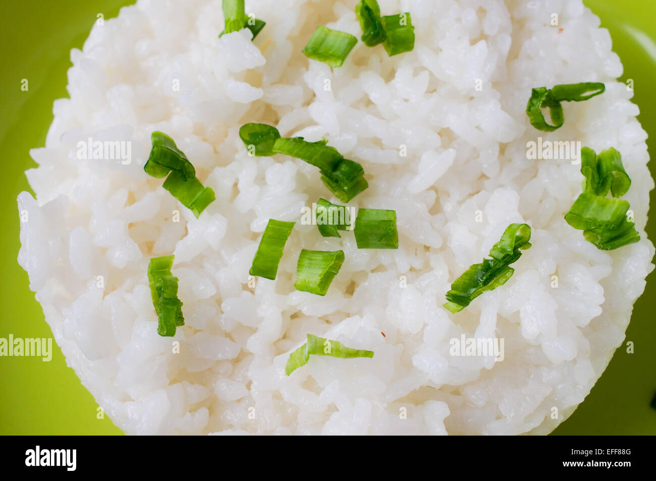 Farinata di Riso pudding sulla piastra verde Foto Stock