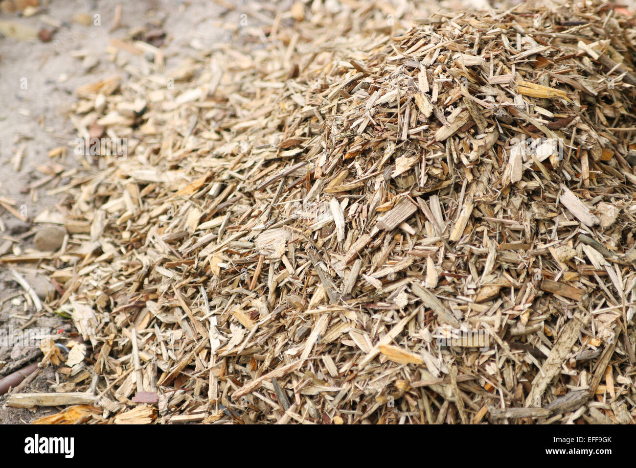 Chip di legno di strame sul terreno, giardino Foto Stock