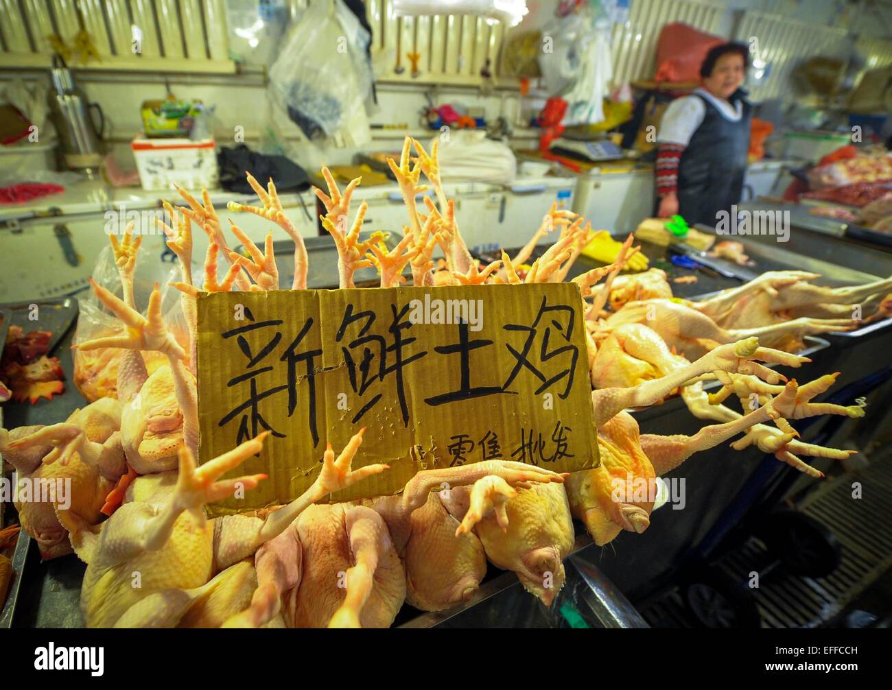 Tutti i live-uccello dei mercati di Urumchi sono chiusi per il controllo H7N9 epidemia situazione in Urumchi, Xinjiang, Cina su 03 Febbraio, 2015 Foto Stock