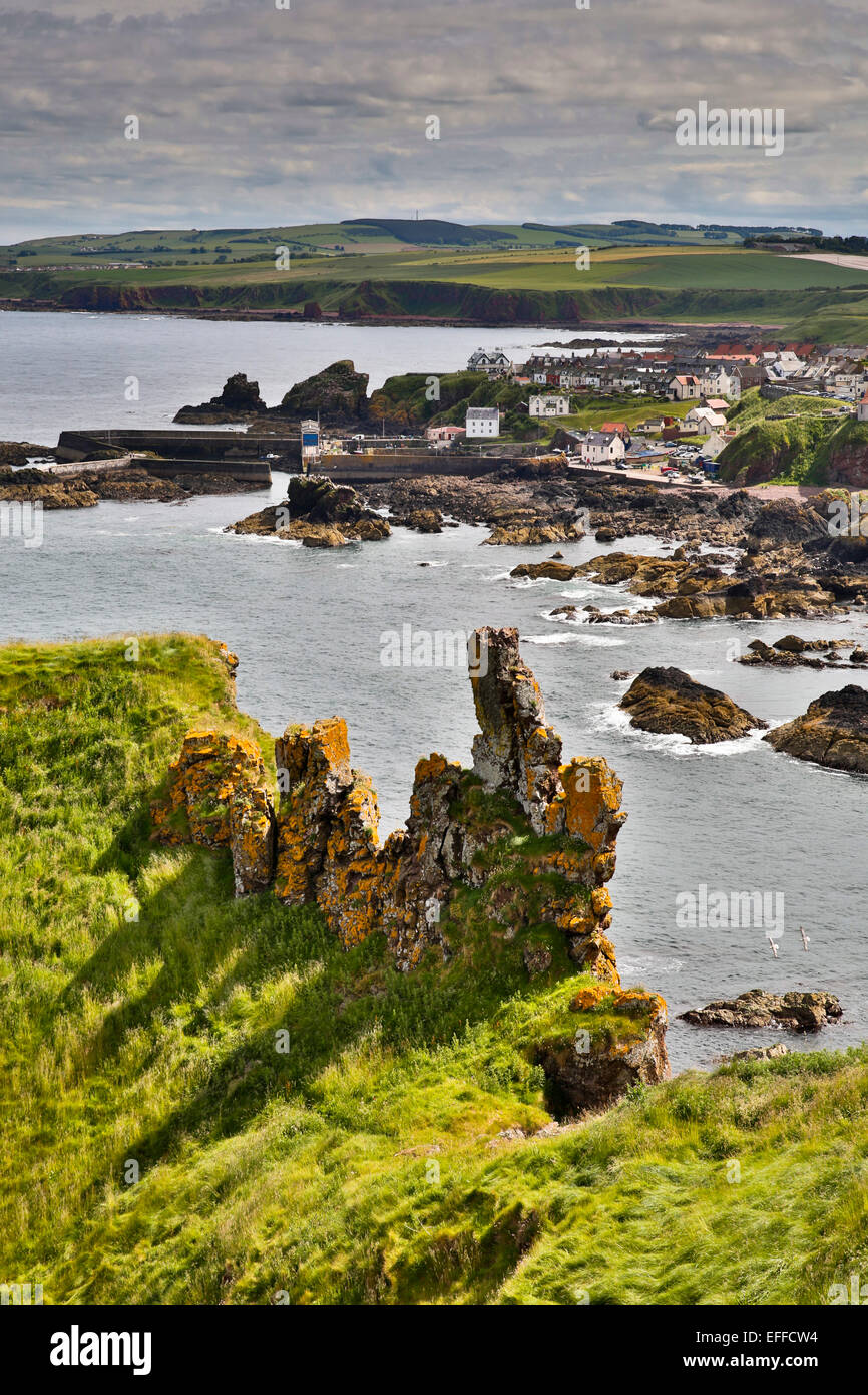 St Abbs; Scozia - UK Foto Stock