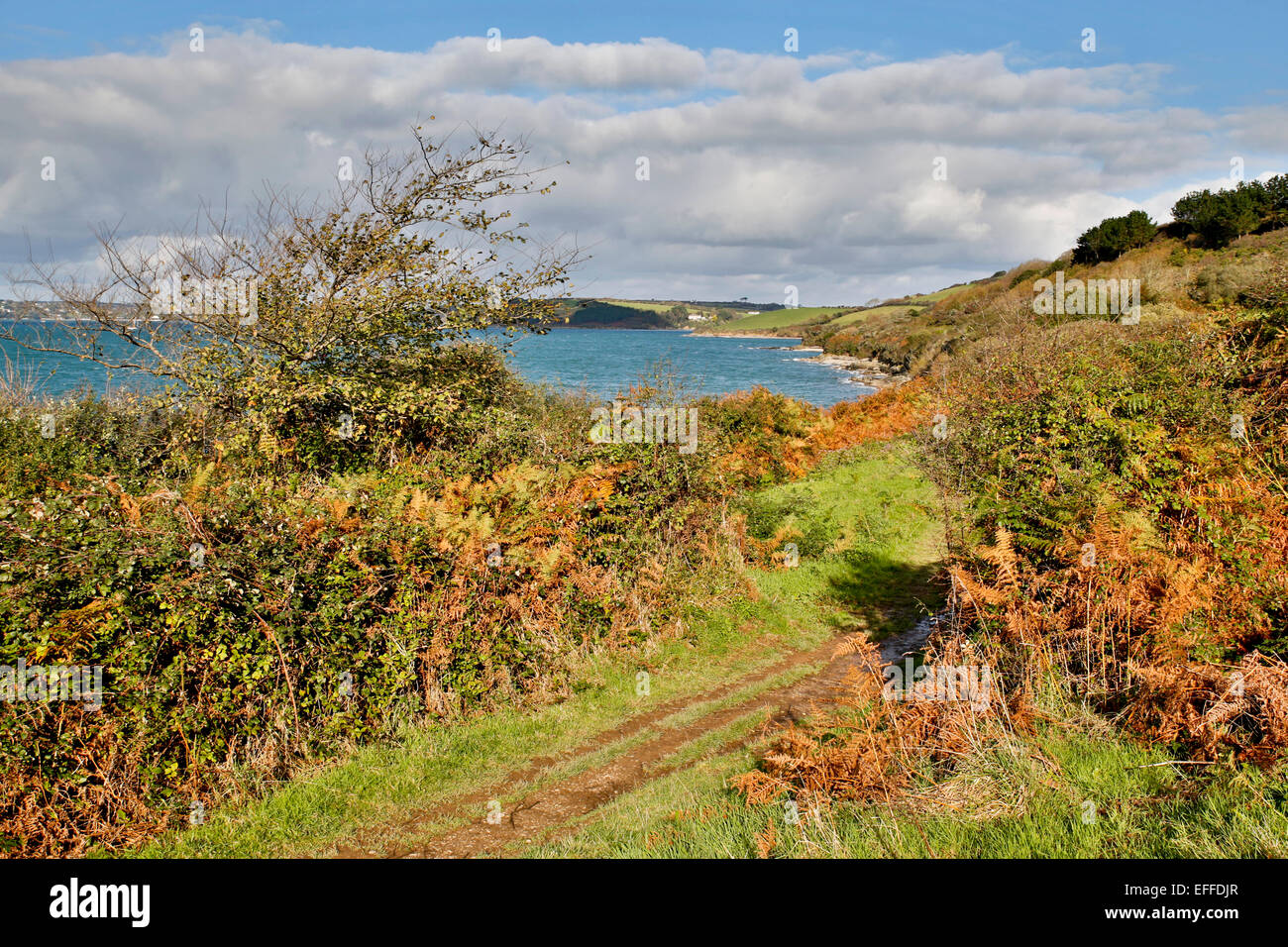 Sentiero costiero vicino a St Mawes St appena in Roseland Cornwall, Regno Unito Foto Stock