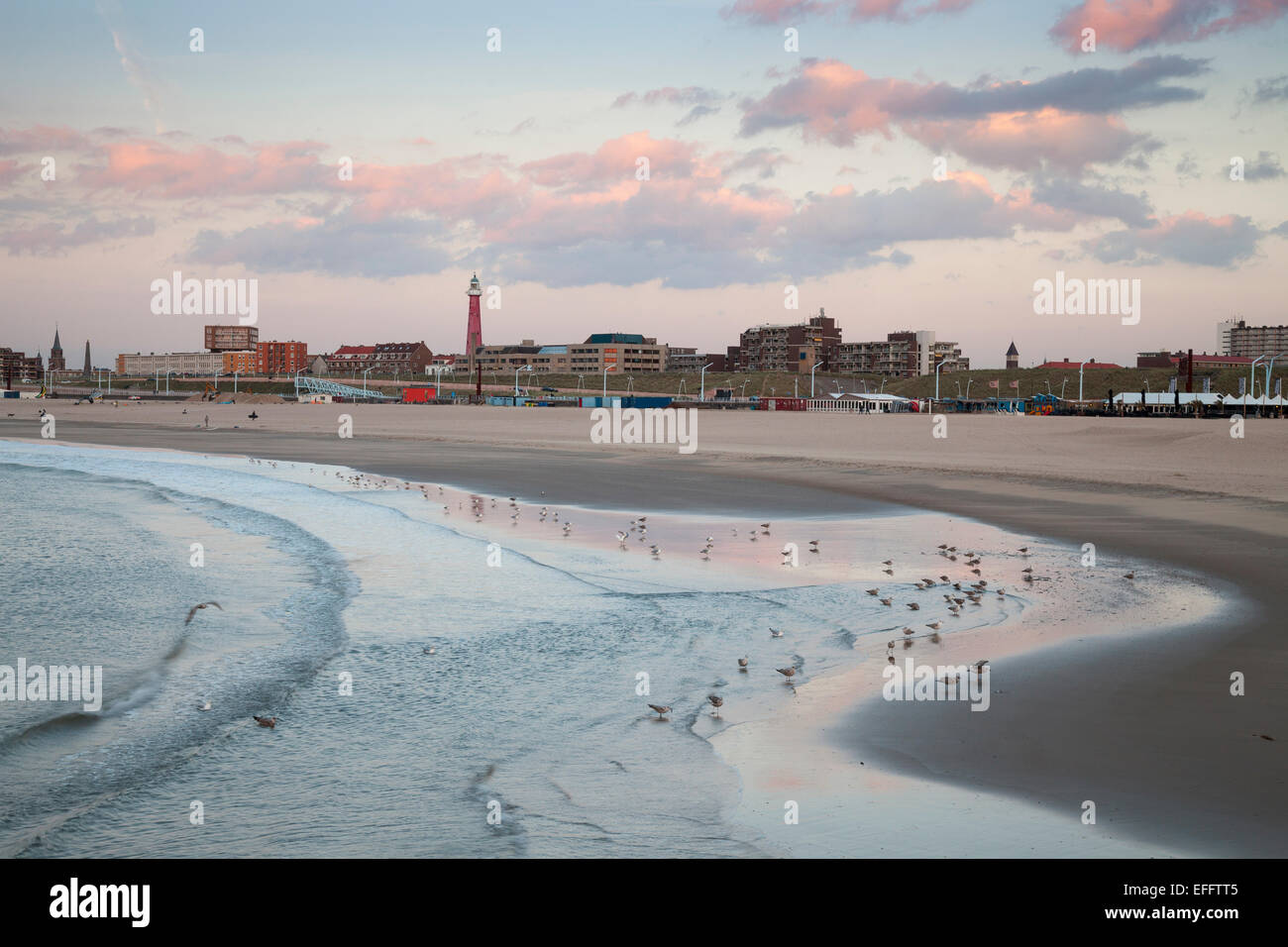 Paesi Bassi, l'Aia, Scheveningen, spiaggia nella luce della sera Foto Stock