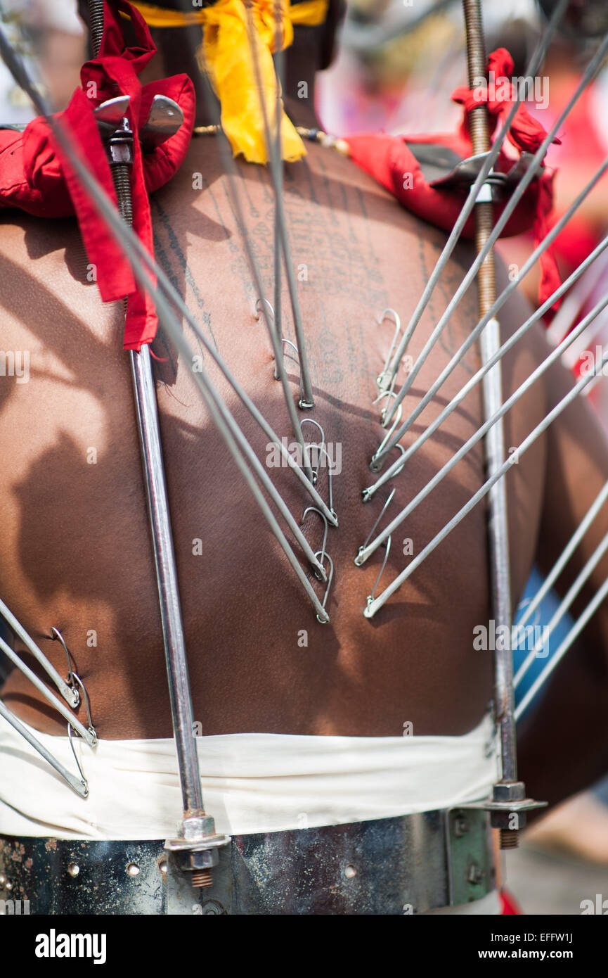 Uomo indù con ganci a perforare la pelle sulla sua schiena durante Thaipusam 2015 in Grotte Batu, Malaysia Foto Stock