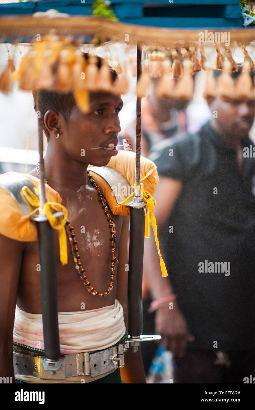 Giovane uomo indù che porta un peso che perfora la pelle sulla schiena con ganci durante Thaipusum 2015 in Grotte Batu, Malaysia Foto Stock