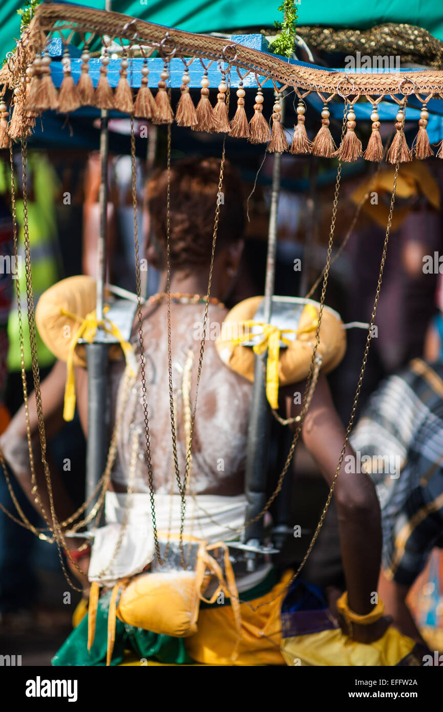 Uomo indù che porta un peso elevato che perfora la pelle sulla schiena con ganci durante Thaipusum 2015 in Grotte Batu, Malaysia Foto Stock