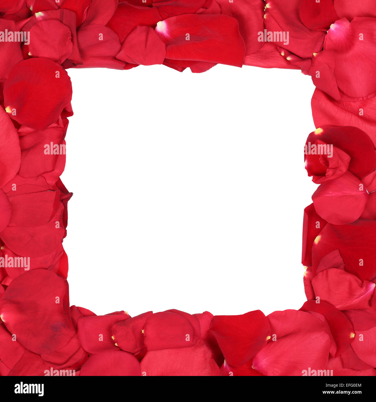 Il telaio da rose rosse sul compleanno di San Valentino e la festa della mamma con copyspace Foto Stock