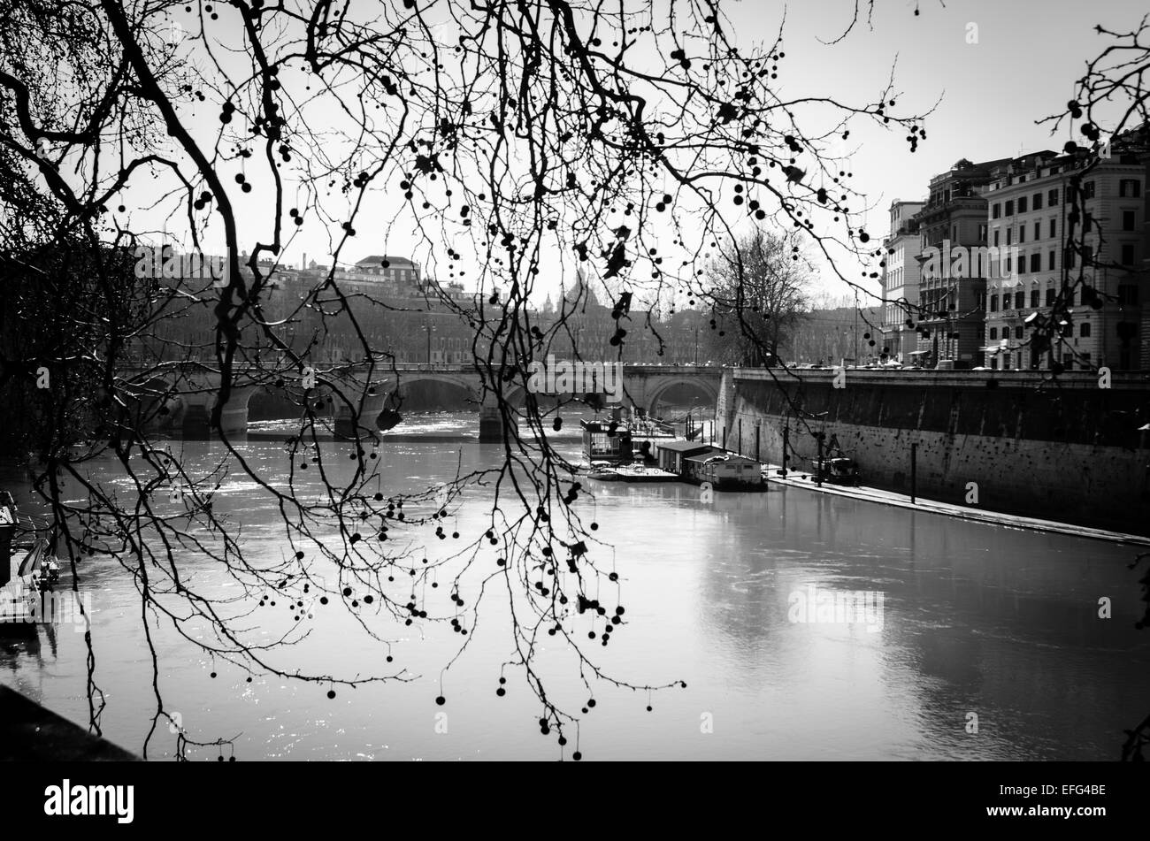 Il fiume Tevere a Roma, dal Ponte Sisto Foto Stock
