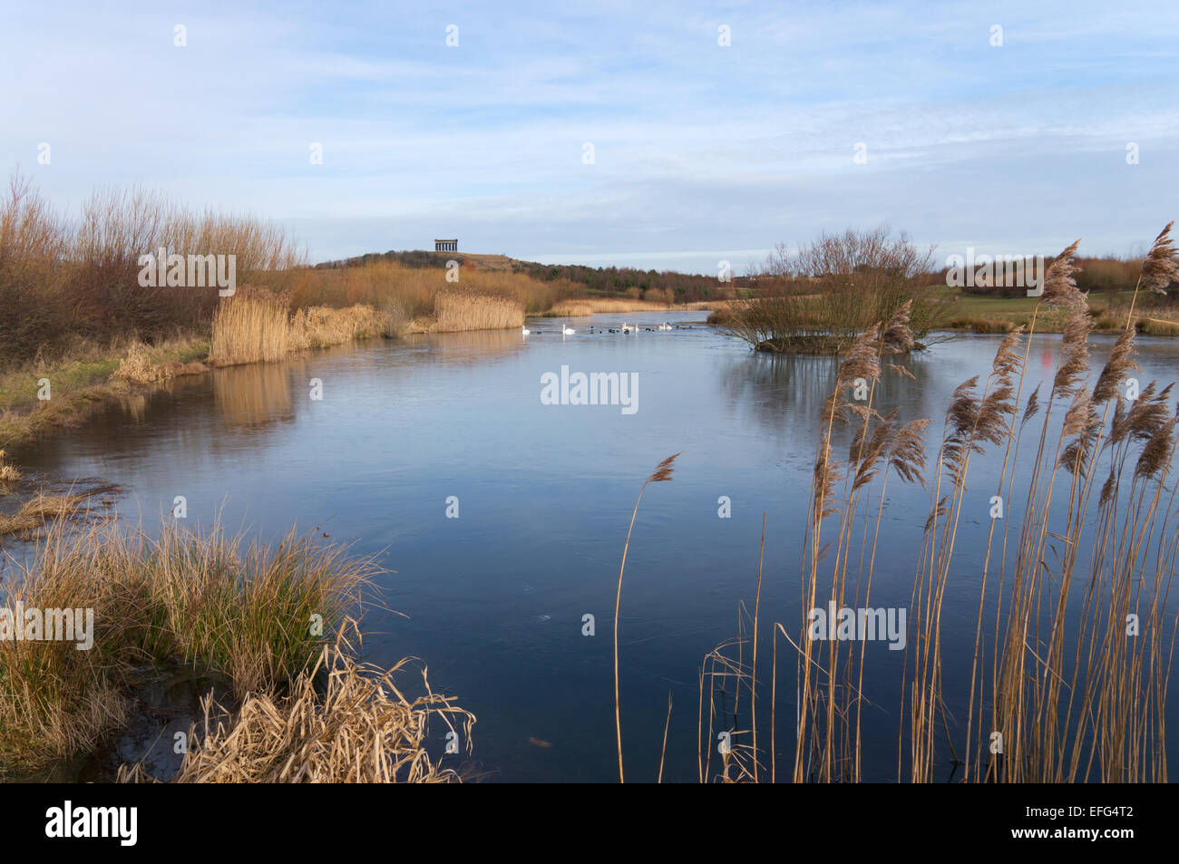 Vista panoramica sopra il lago di pesca verso Penshaw monumento, Herrington Country Park, North East England, Regno Unito Foto Stock