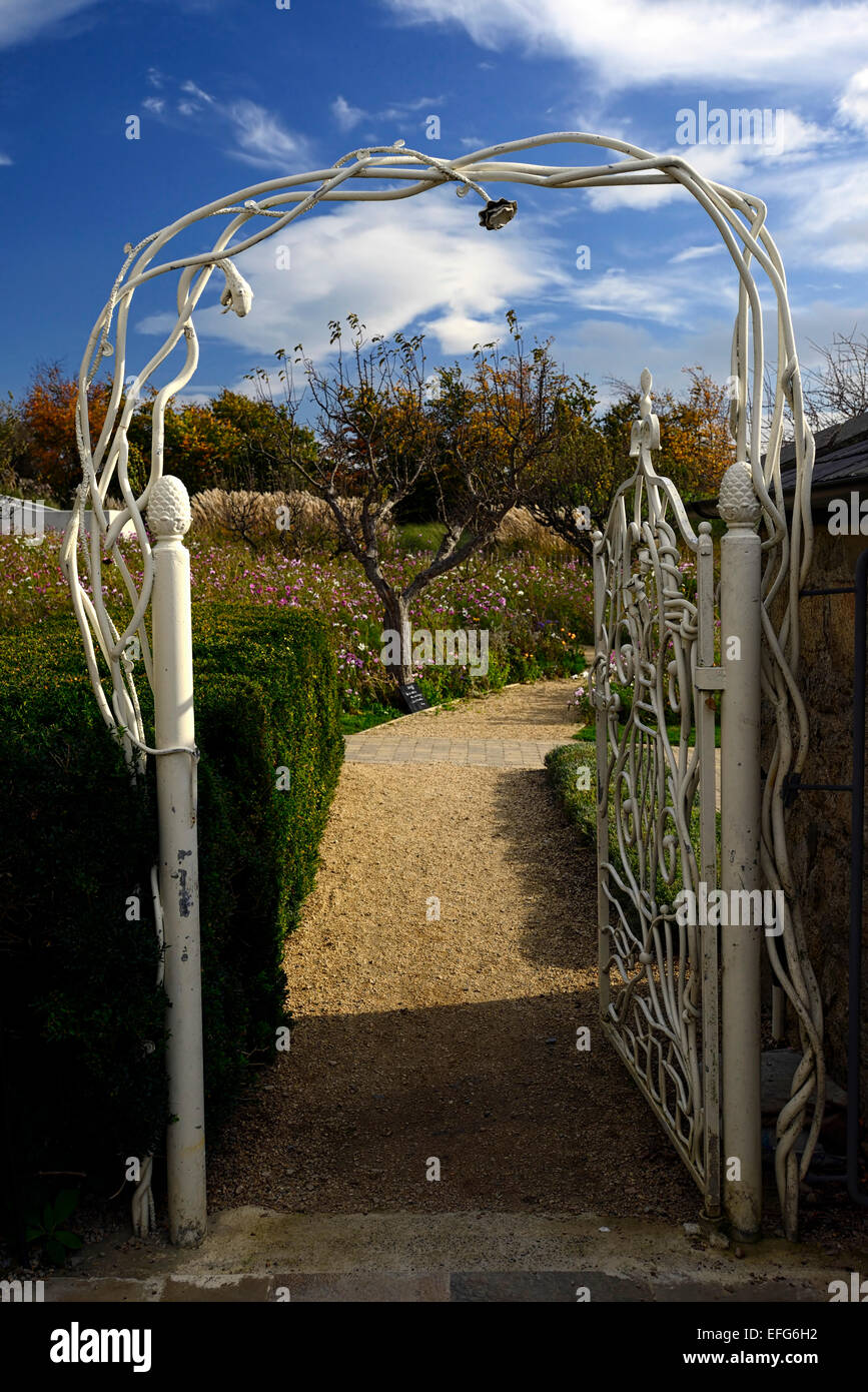 Il ferro battuto con forma ad arco arrampicata sagomata rose garden giardinaggio cancello di ingresso airfield house dundrum floreale RM Foto Stock