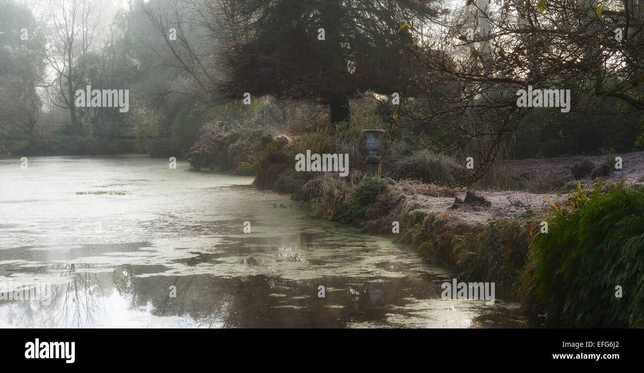 Il congelamento della nebbia stagno Lago inverno autunnale di colore colore Altamont gardens Carlow scenic Paesaggio floreale RM Foto Stock