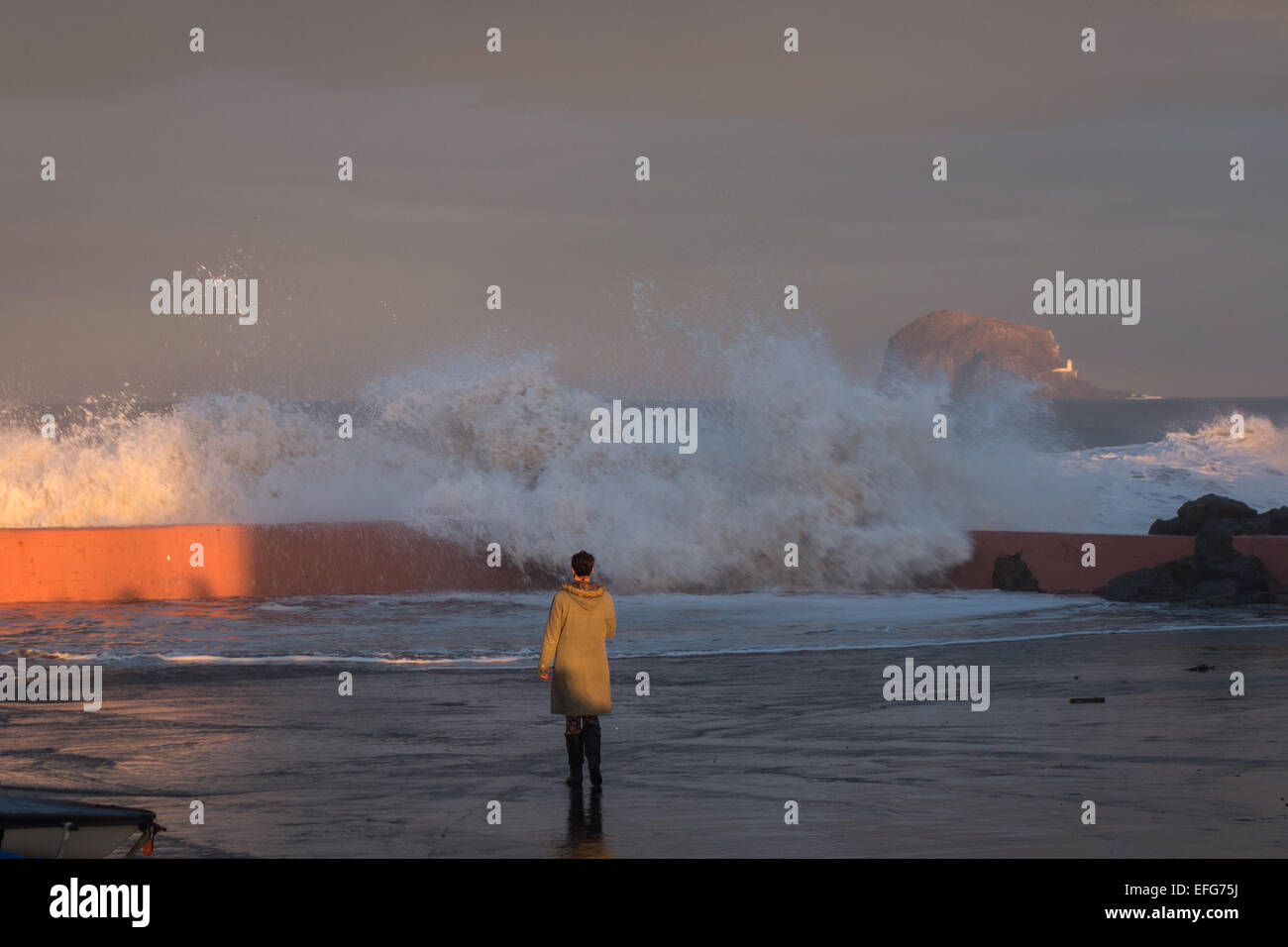 Il mare in tempesta e alta marea, North Berwick, East Lothian Foto Stock