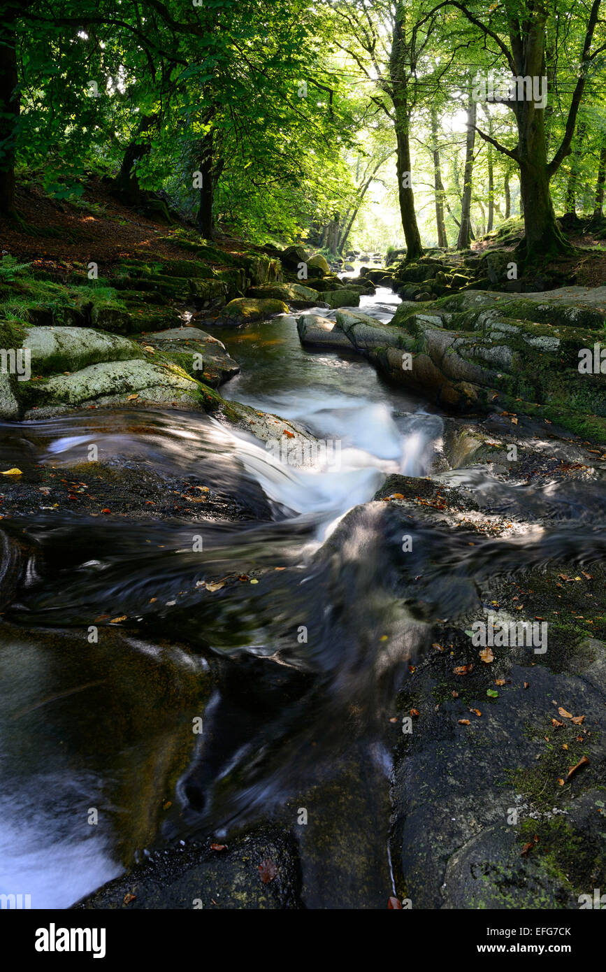 Fiume Cloghleagh cascata estate rurale scena scenic irlandese sidelighting sidelit County Wicklow Irlanda RM Foto Stock
