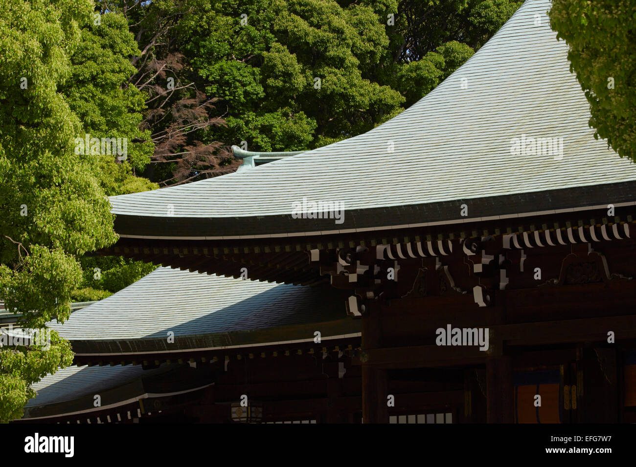 Meiji Jingu tempio, Yoyogi Park Harajuku, Tokyo, Giappone Foto Stock