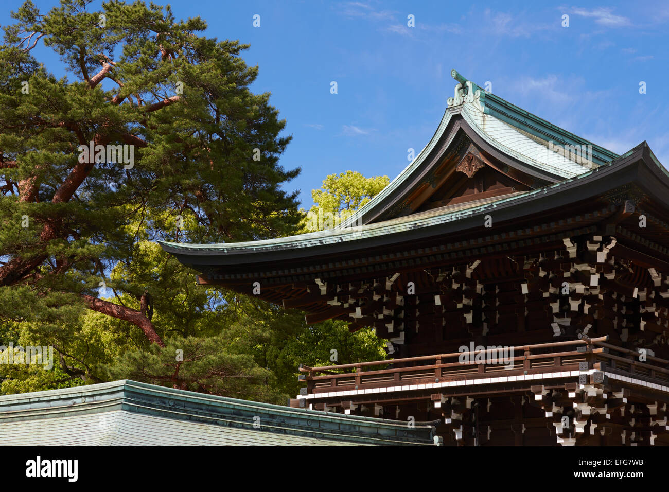 Meiji Jingu tempio, Yoyogi Park Harajuku, Tokyo, Giappone Foto Stock