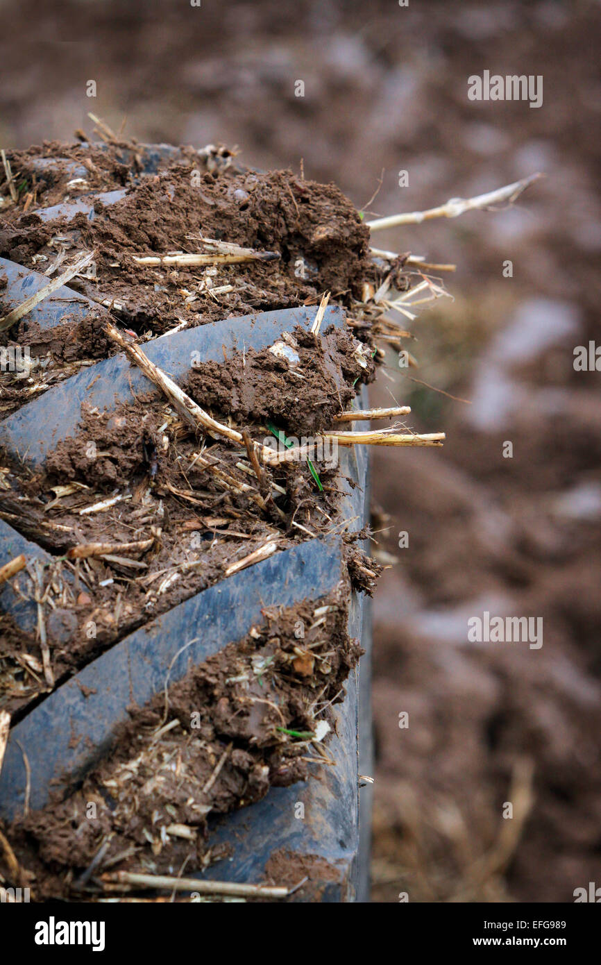 Il pneumatico del trattore coperto nel terreno fangoso a tradizionale partita di aratura, close up Foto Stock