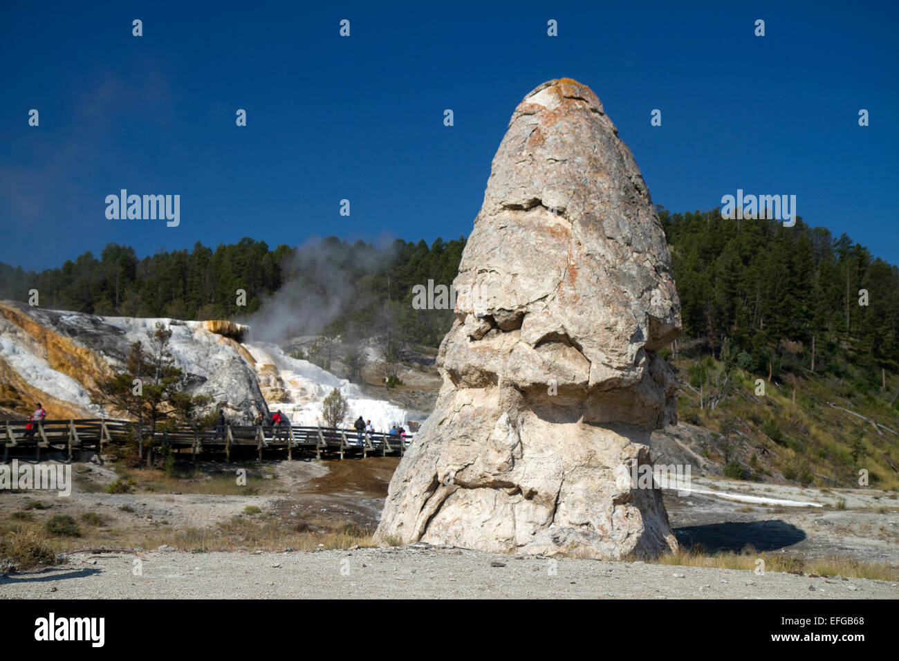 Liberty Cap caldo cono a molla si trova a Mammoth Hot Springs nel Parco Nazionale di Yellowstone, Wyoming negli Stati Uniti. Foto Stock