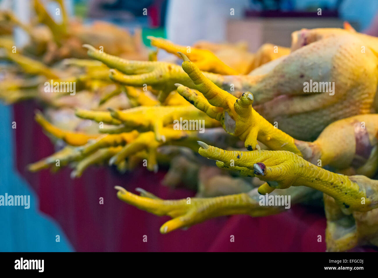 Oaxaca, Messico - pollo, con piedini collegati, in vendita presso il Benito Juárez mercato. Foto Stock