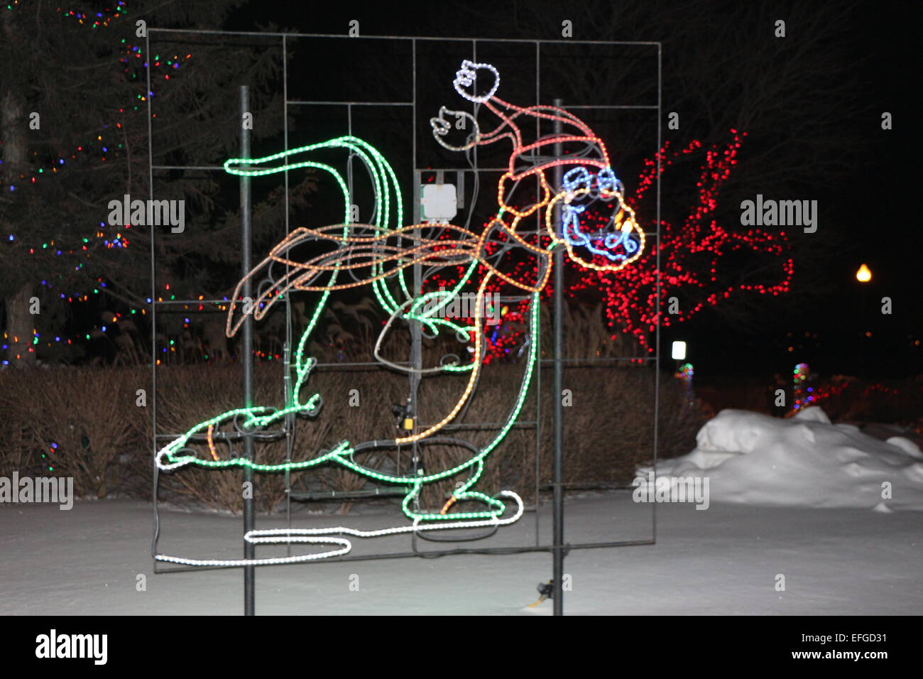 Le luci di Natale display,pupazzo di neve,l'inverno si accende,pattinaggio nel cane si accende,cielo notturno con luci,Barrie,Ontario , Canada Foto Stock