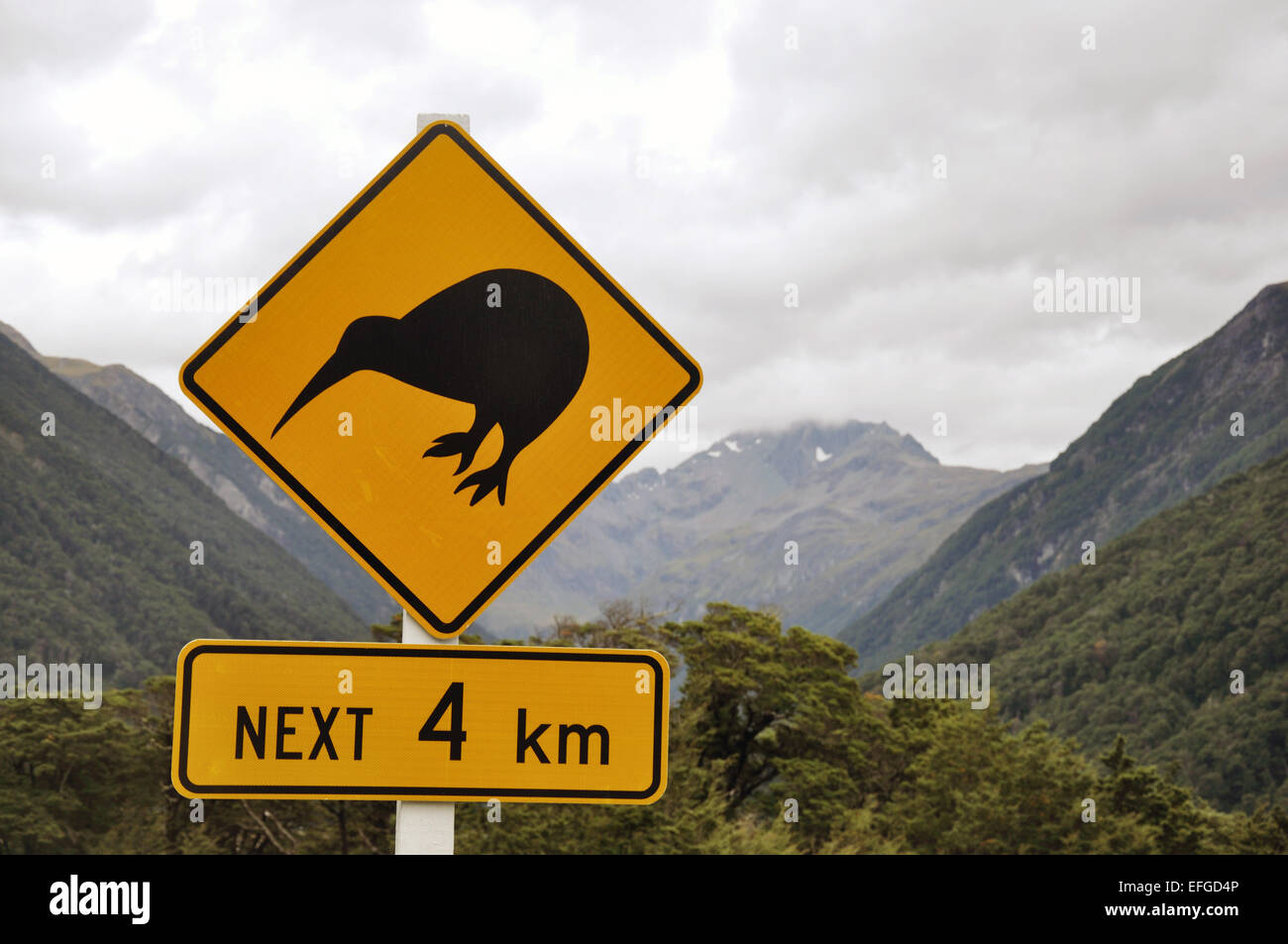 Cartello stradale di avvertimento di kiwi vicino Arthurs Pass, Isola del Sud, Nuova Zelanda Foto Stock