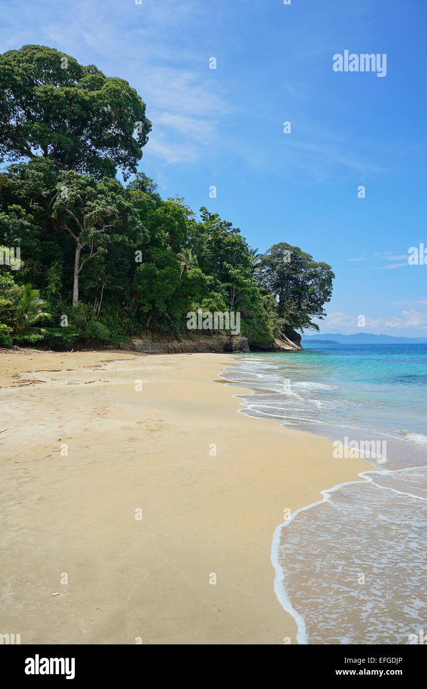 Spiaggia di sabbia incontaminate in Costa Rica con lussureggiante foresta tropicale, Punta Uva, Puerto Viejo de Talamanca Foto Stock