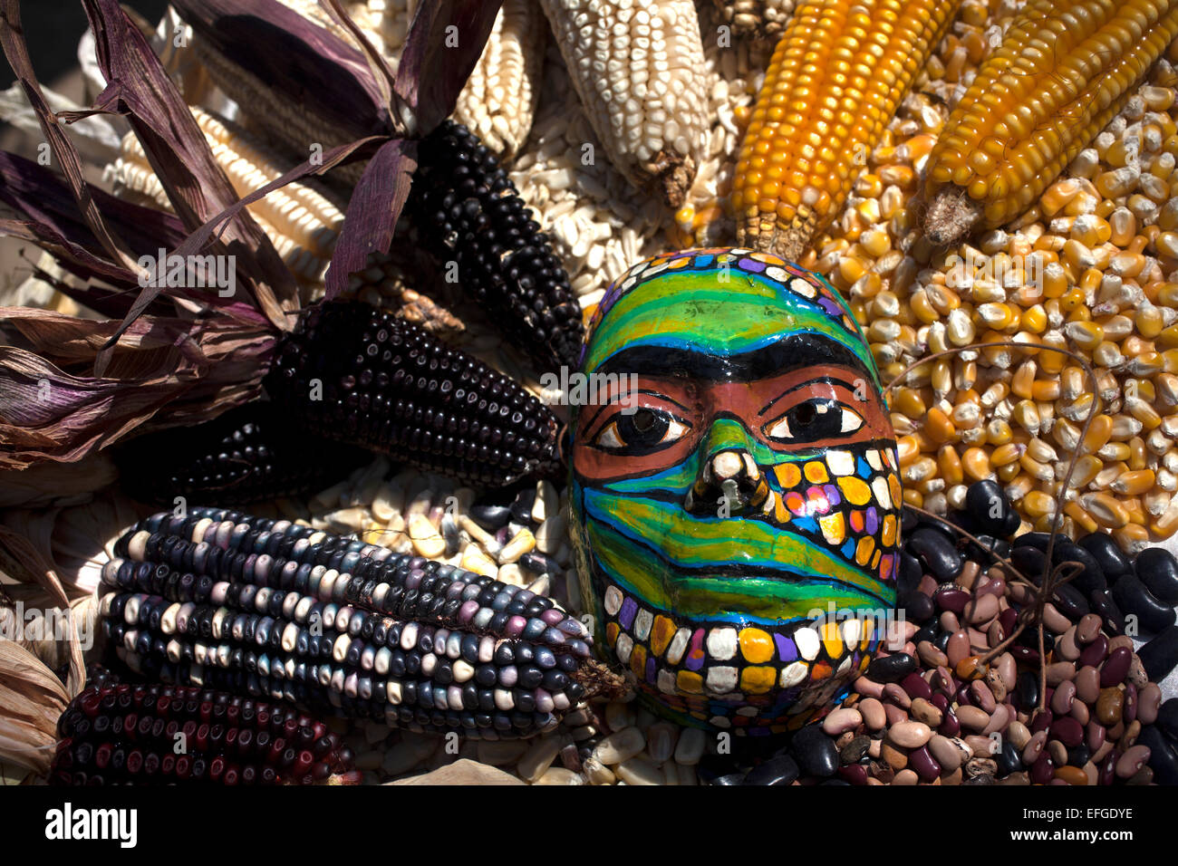 Una maschera colorata decora un tavolo pieno di pannocchie di granoturco in 'Tepetlixpa Banca del seme', creato da Tomas Villanueva Buendia 'Tomaicito' Foto Stock