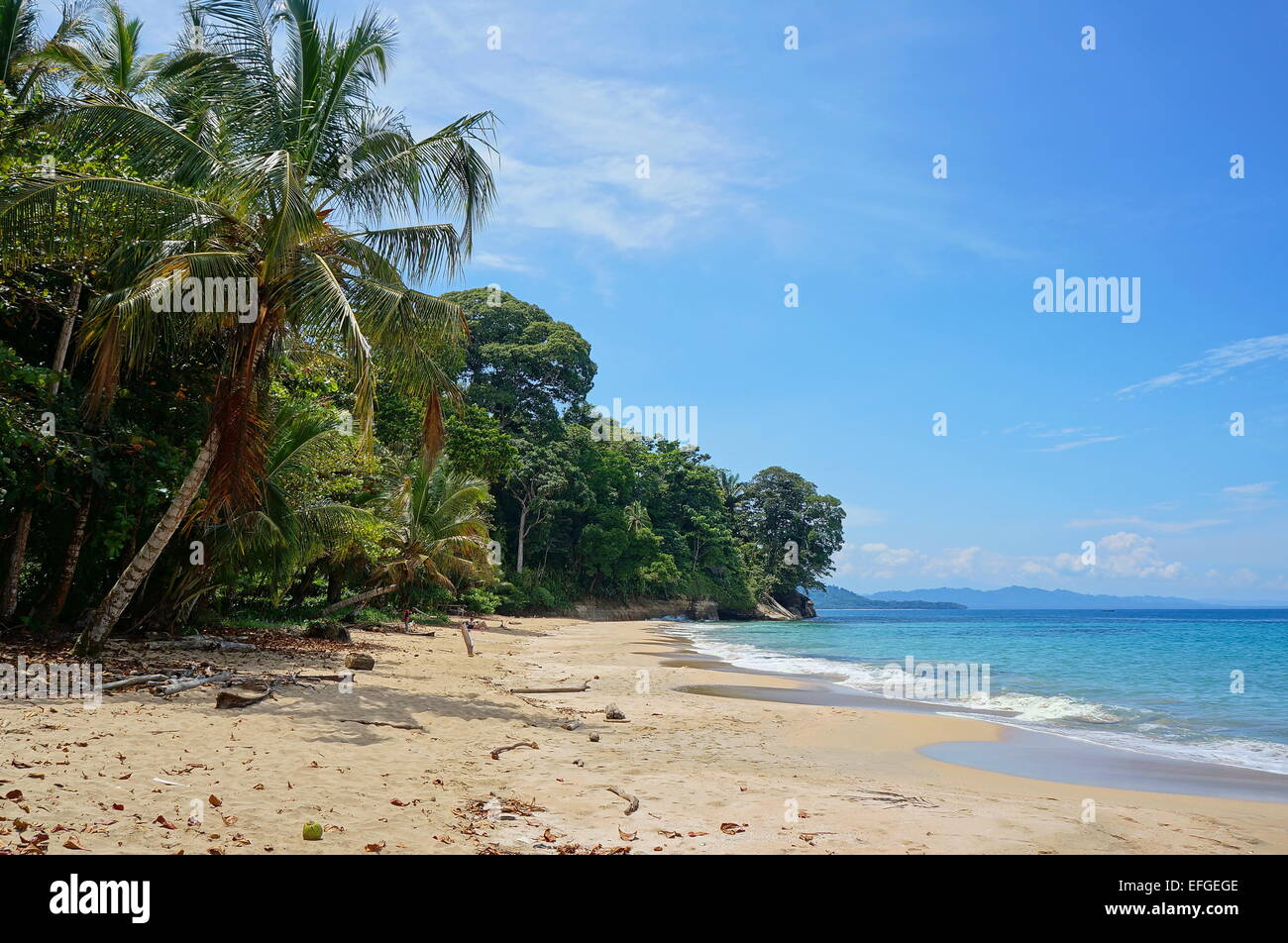 Spiaggia caraibica con lussureggiante vegetazione tropicale in Costa Rica, Punta Uva, Puerto Viejo de Talamanca, America Centrale Foto Stock