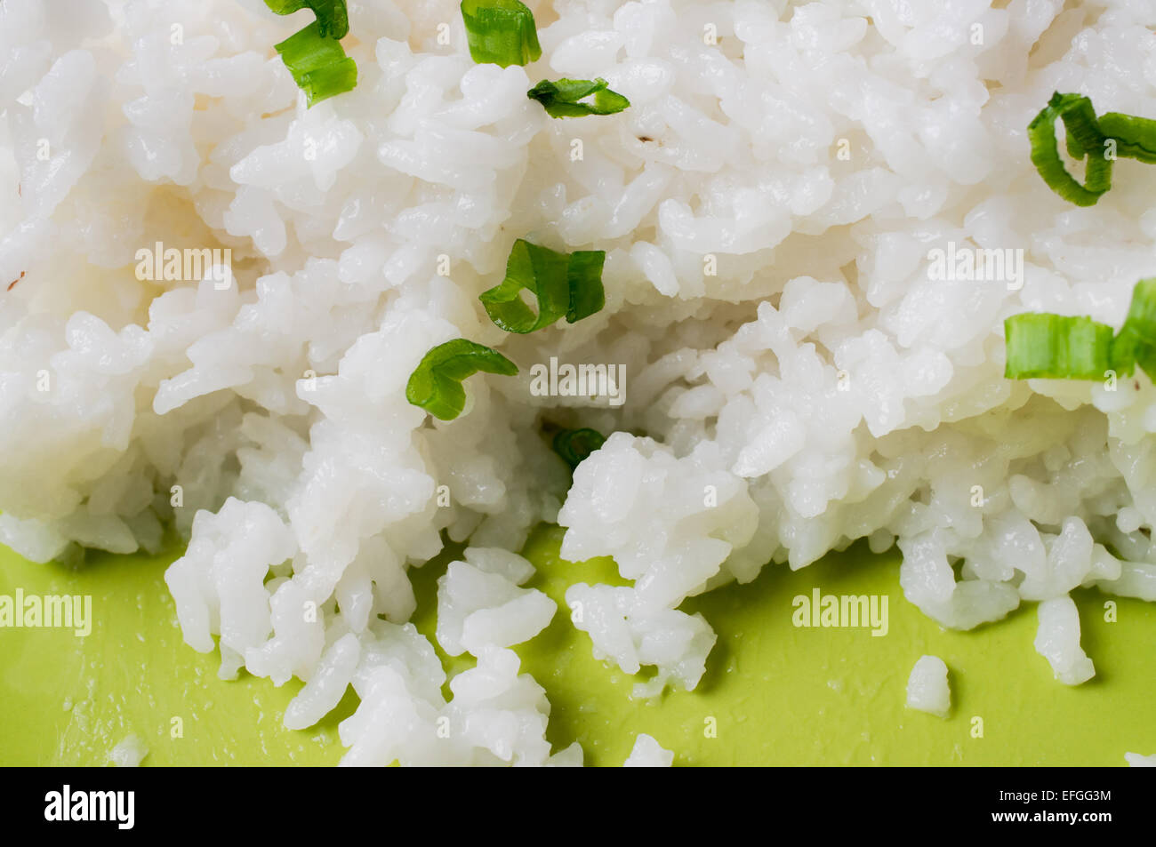 Farinata di Riso pudding sulla piastra verde Foto Stock
