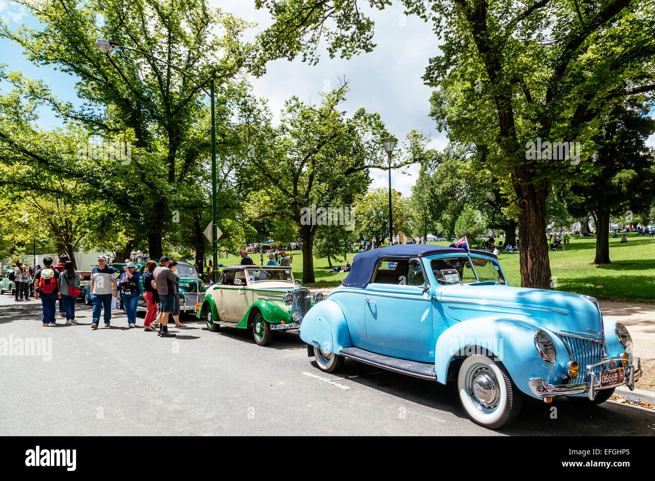 Automobili classiche sul display, RACV Australia Day picnic e Federazione Display del veicolo, Kings Domain, Melbourne, Victoria, Australia Foto Stock