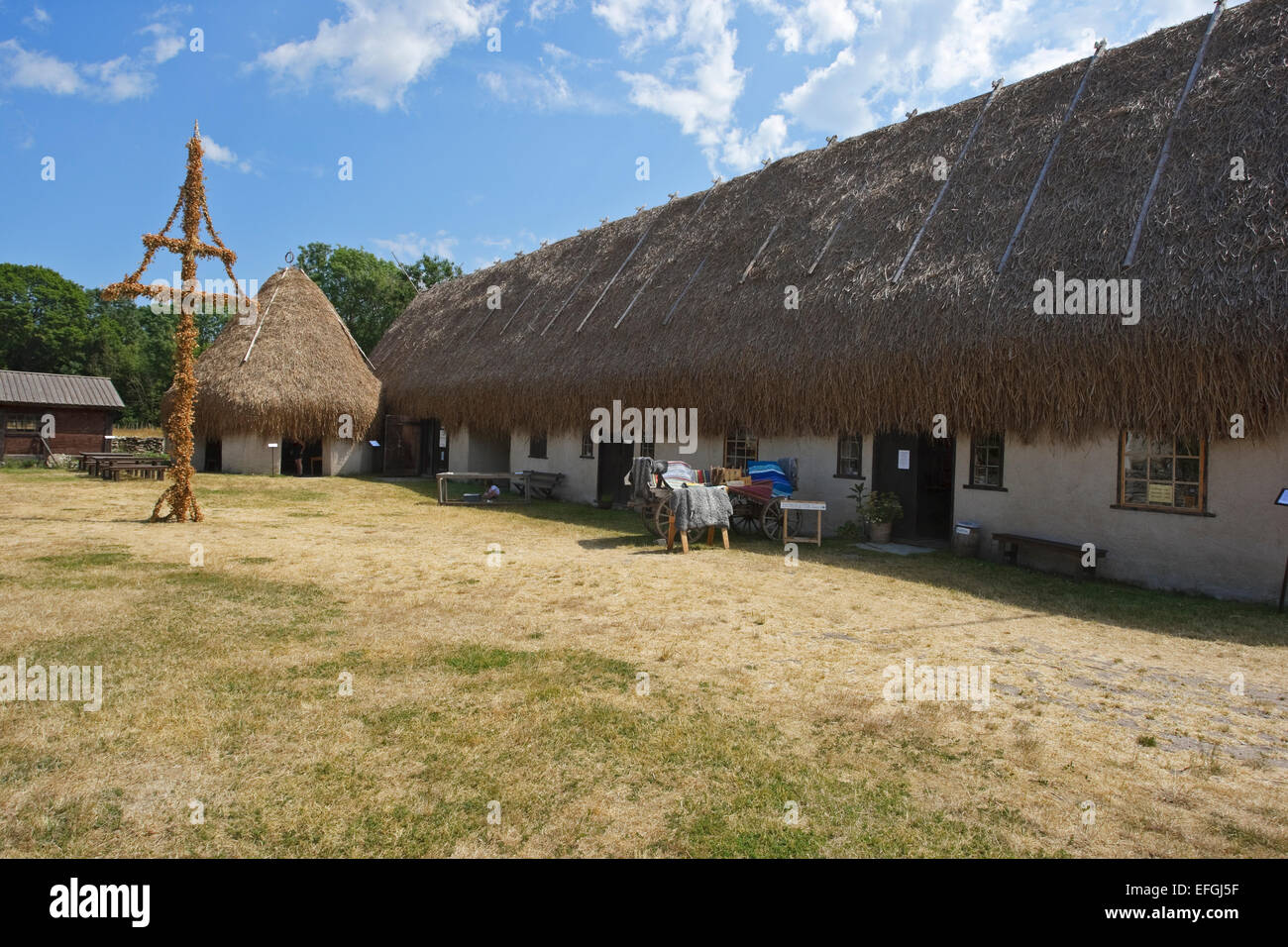 Il Museo Bottarve con un tetto di grande Fen-falasco (Cladium mariscus) su Gotland meridionale Foto Stock