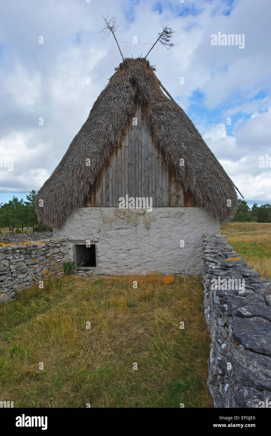 Pecore stabile con un tetto di Saw-falasco (Cladium mariscus) Dämba, Fårö Gotland Foto Stock