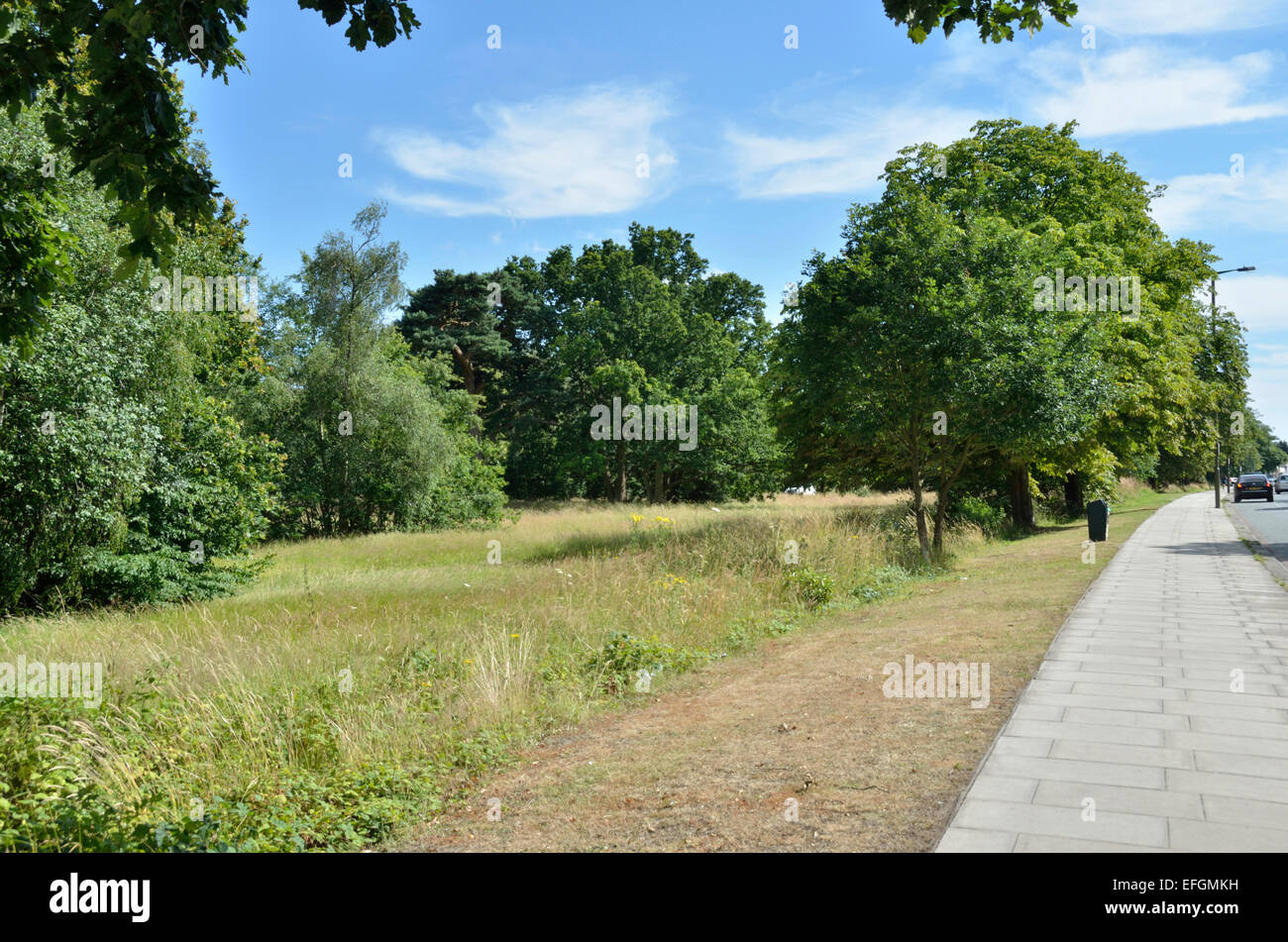 La Hadley verde in High Barnet, Londra, Regno Unito. Foto Stock