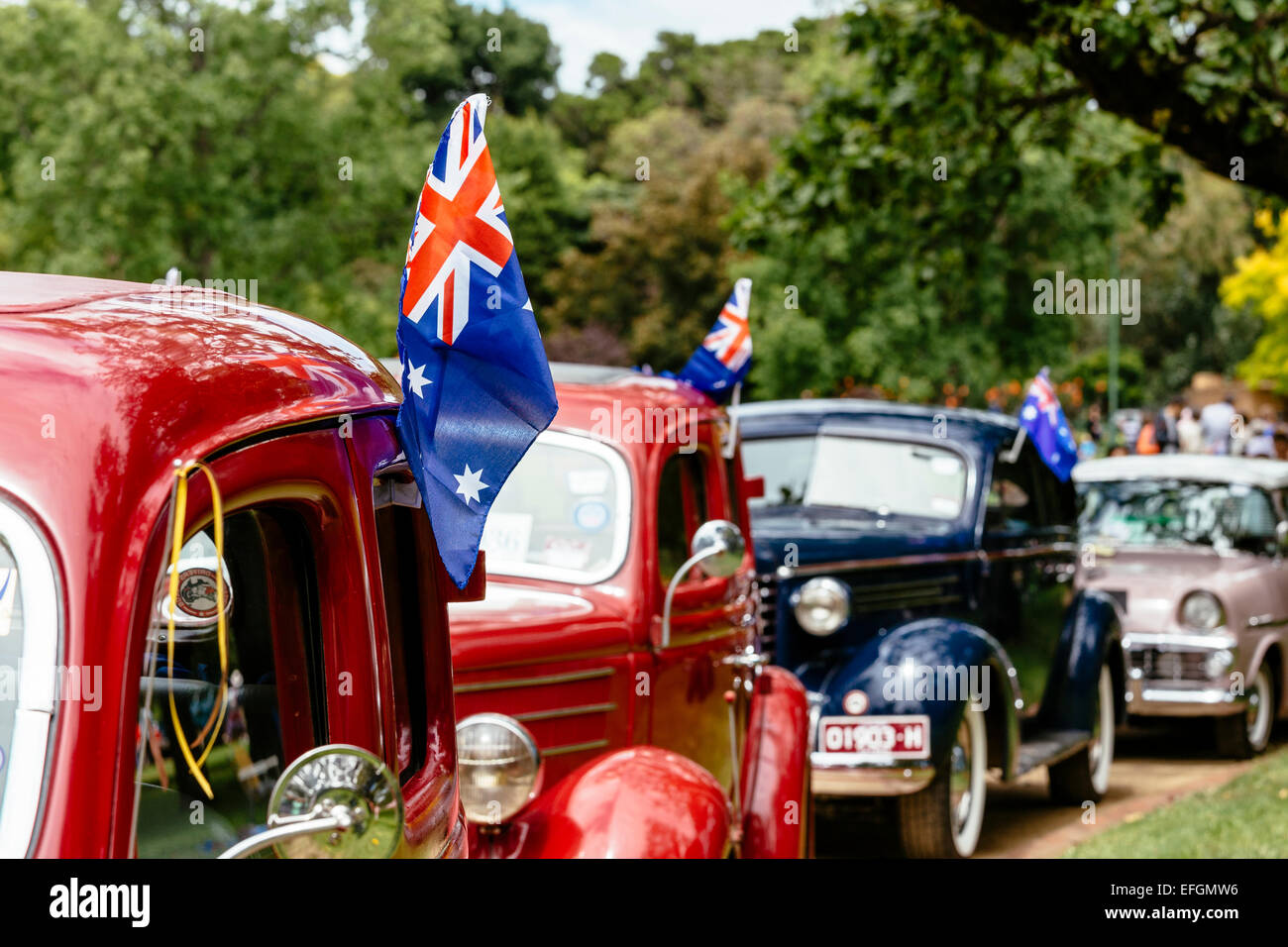 Automobili classiche sul display, RACV Australia Day picnic e Federazione Display del veicolo, Kings Domain, Melbourne, Victoria, Australia Foto Stock