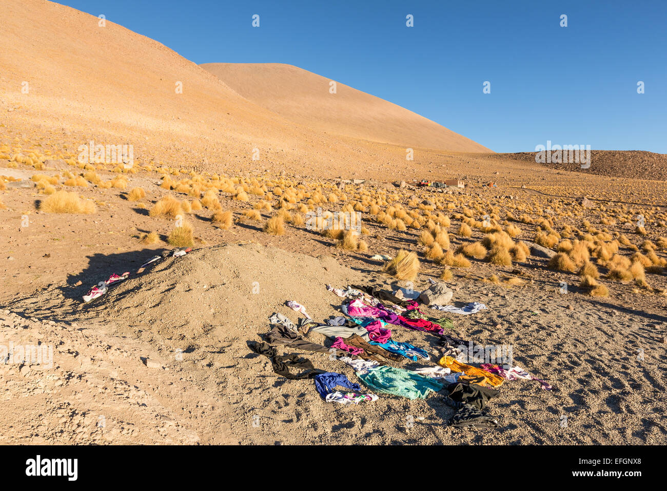 Asciugatura a Laguna Salada , Uyuni deserto, Altiplano, Bolivia, Sud America Foto Stock