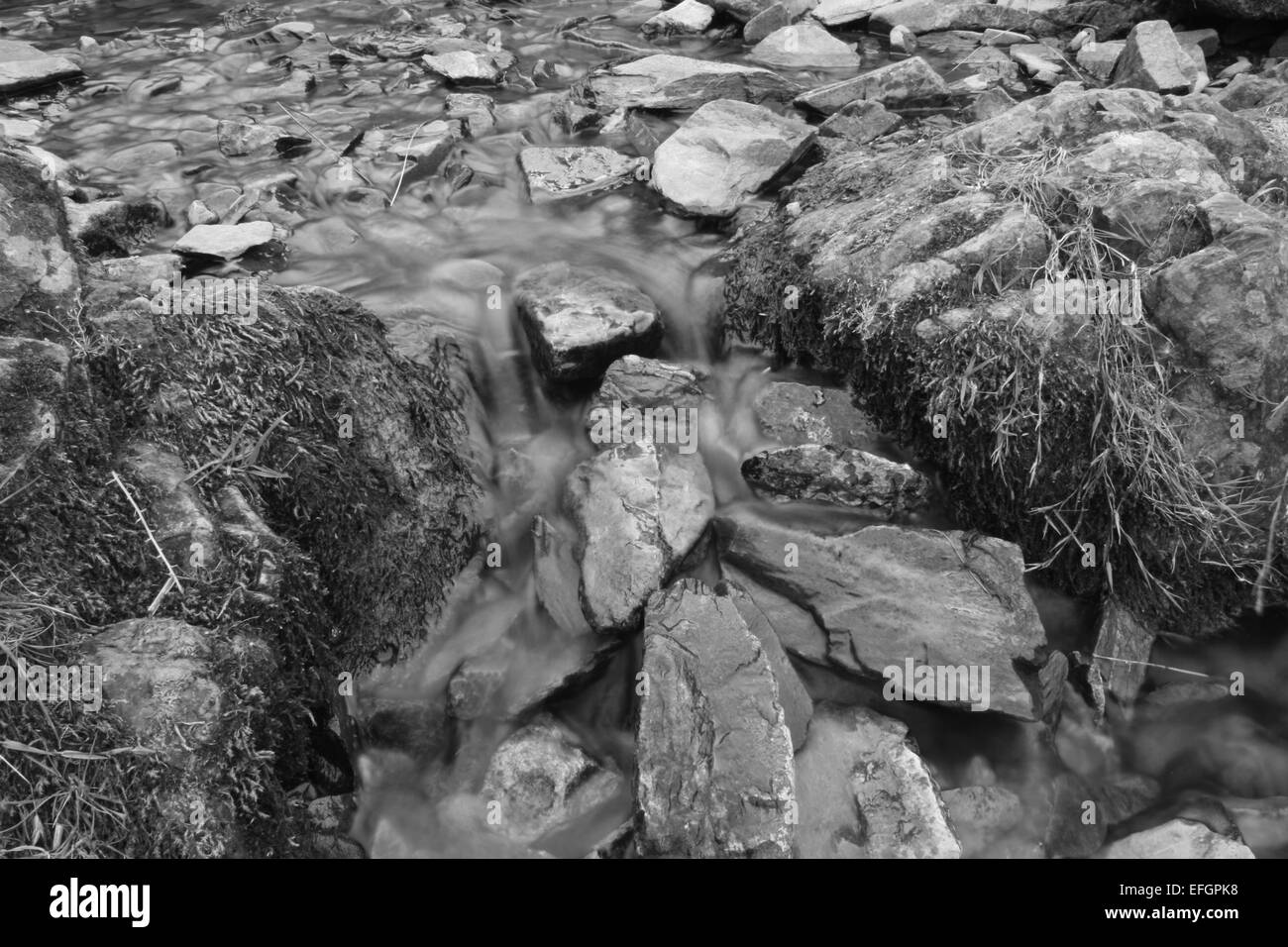 Una foto in bianco e nero di acqua che scorre a valle Cardingmill Foto Stock